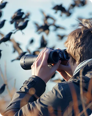 Ornithologie et nature