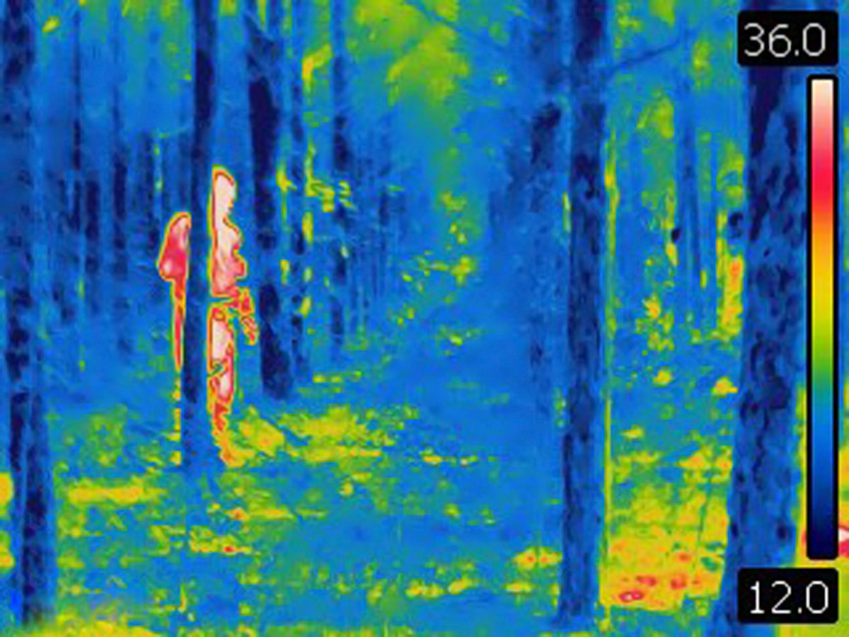 Vision thermique