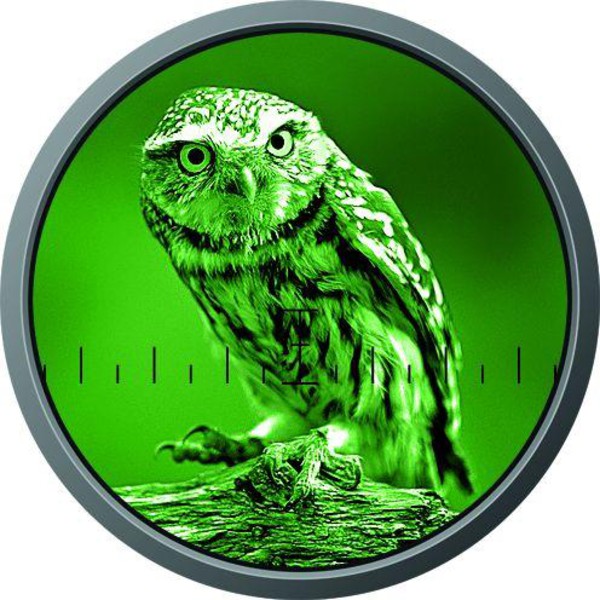 ZEISS Victory 5.6x62 NV night vision monocular 