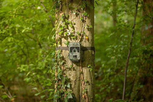 SM4pro Camouflage Trail Camera 
