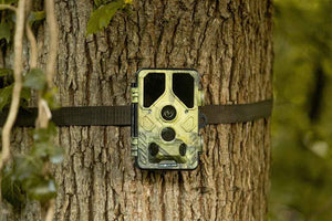 Câmara de caça Camuflada EZ45 wifi com envio para smartphone 