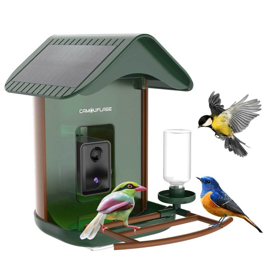 Connected bird feeder with AI-based species detection