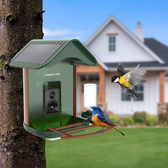Comedouro para aves inteligente com deteção de espécies por IA 