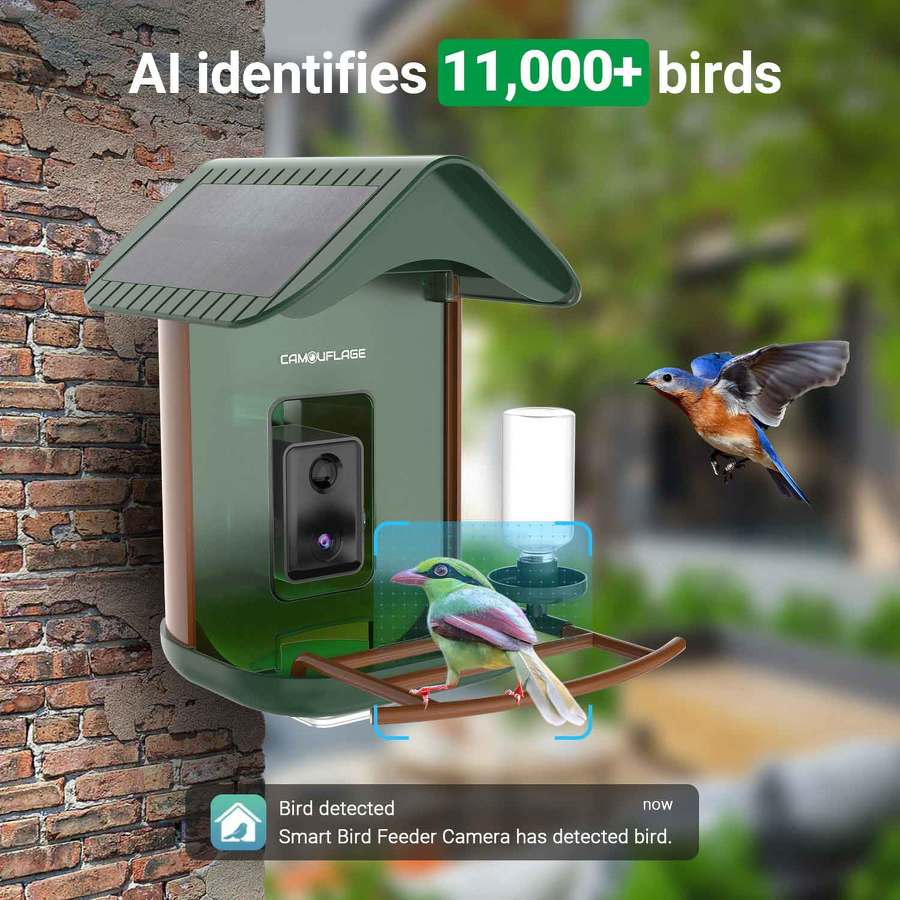 Connected bird feeder with AI-based species detection