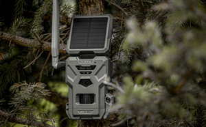 Piège photographique Spypoint Flex S