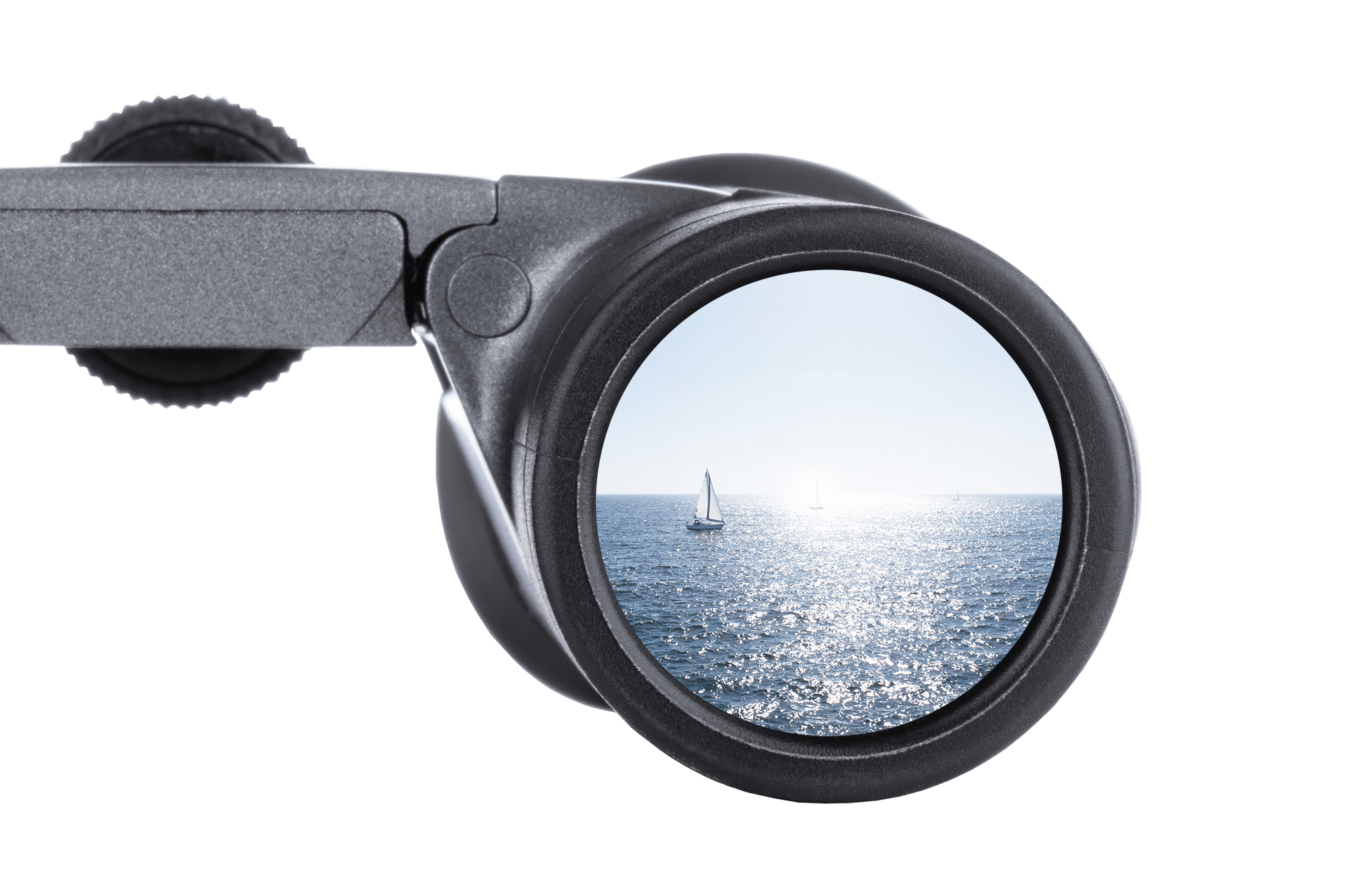 Binóculos Steiner BluHorizons 10X42 