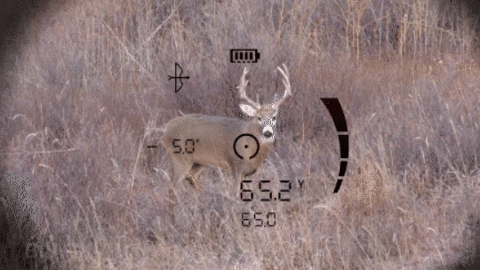 Bushnell FUSION X 10x42 rangefinder binoculars 