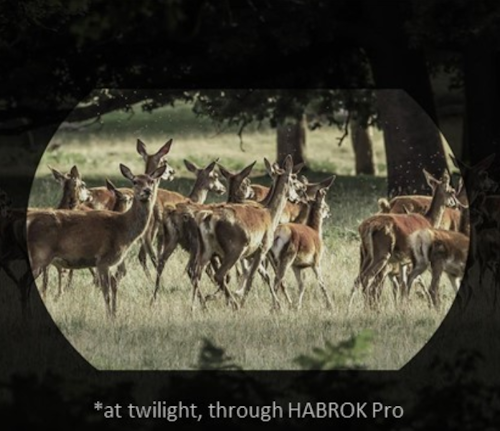 Habrok HQ35LN 4K thermal imaging binoculars Hikmicro 