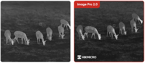 Habrok PRO HQ50LN Thermal Imaging Binoculars HIKMICRO 