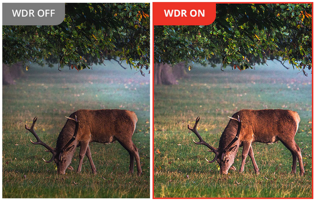 Habrok PRO HQ50LN Thermal Imaging Binoculars HIKMICRO 