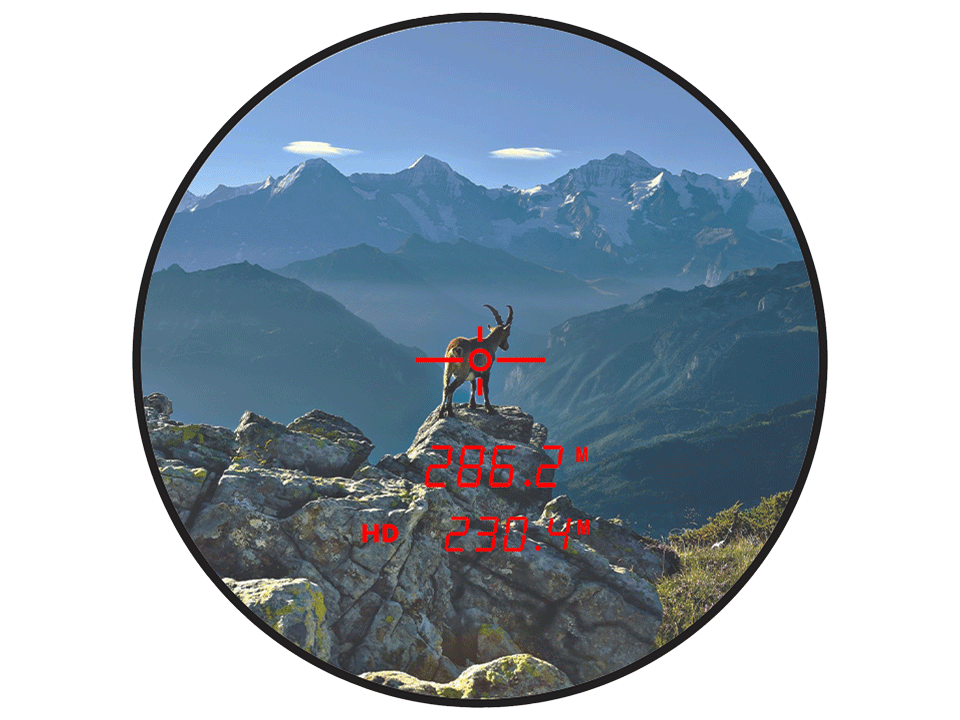 Steiner Ranger LRF 10X42 binoculars