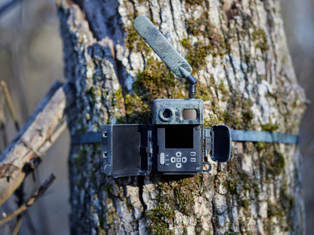 Cámara trampa fotográfica ZEISS Secacam 7 conectada 