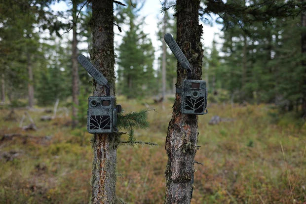 ZEISS Secacam 5 Connected Trail Camera 