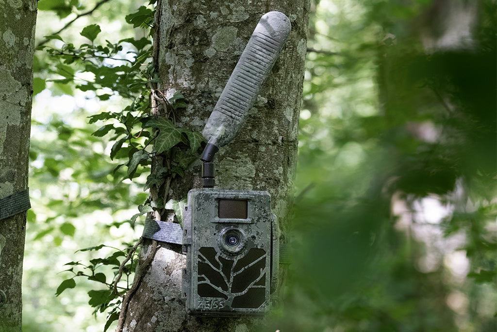 ZEISS Secacam 5 Connected Trail Camera 