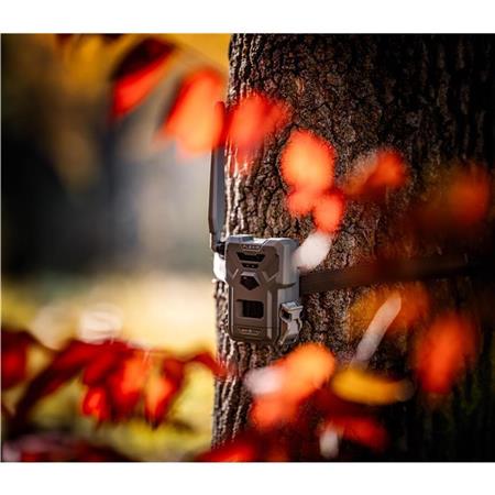 Spypoint Flex-M Camera Twin Pack 