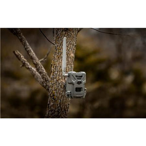 Caméra Spypoint Flex-M Twin Pack