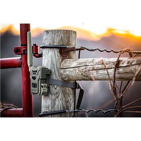 Spypoint Flex-M Camera Twin Pack 