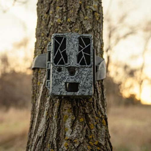 Câmara de caça Spypoint Force Pro Dark 4K não conectada 