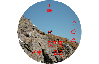 Jumelles Steiner eRanger LRF 10x42 télémètre intégré