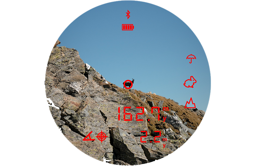 Steiner eRanger LRF 10x42 binoculars with integrated rangefinder 