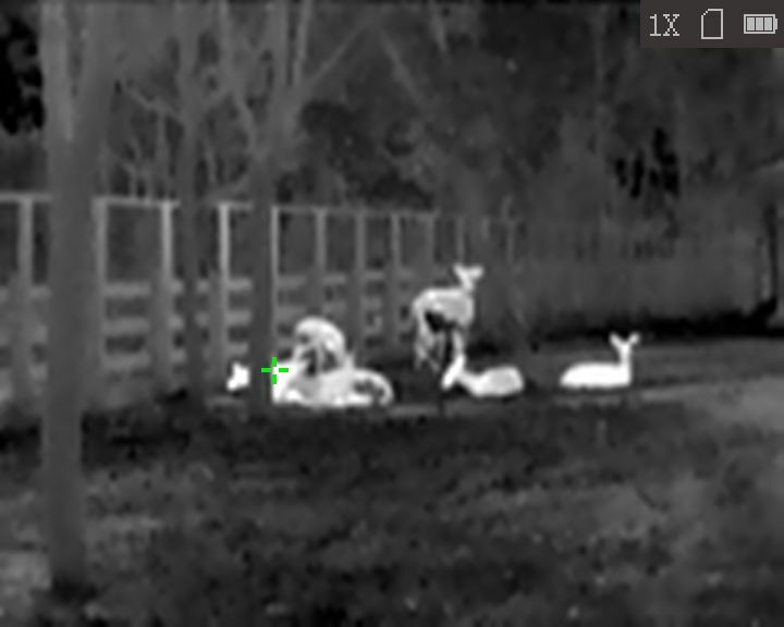 Monocular de visão térmica HiKMICRO Lynx LC06 S conectado 