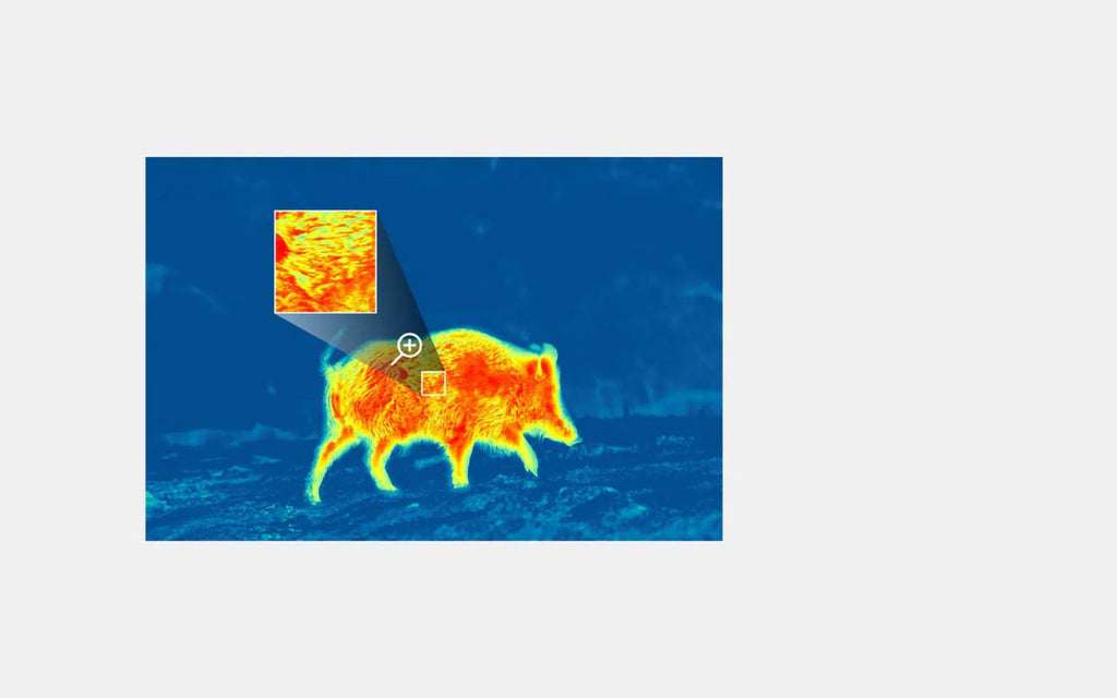 Merger LRF XP35 Thermal Imaging Binoculars Pulsar 