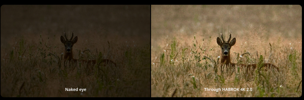 Thermal binoculars Hikmicro HABROK 4K HE25L 2.0 