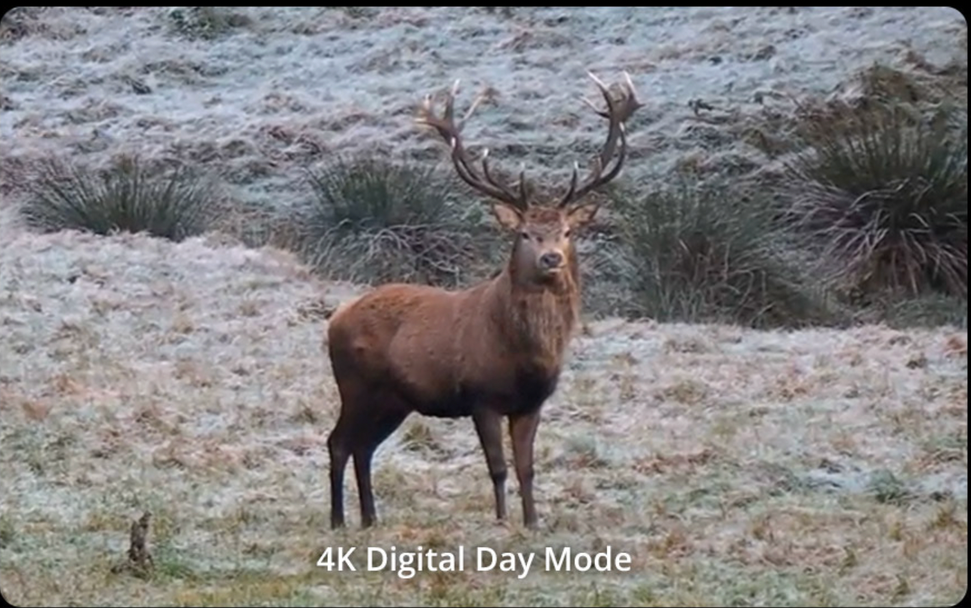 Thermal binoculars Hikmicro HABROK 4K HE25L 2.0 