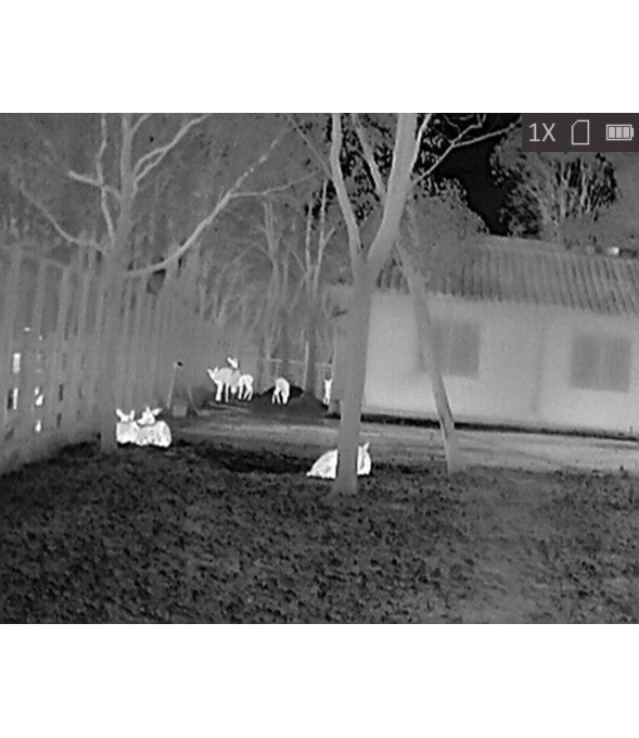 Monocular de visão térmica Hikmicro Lynx LH15 Pro 2.0 