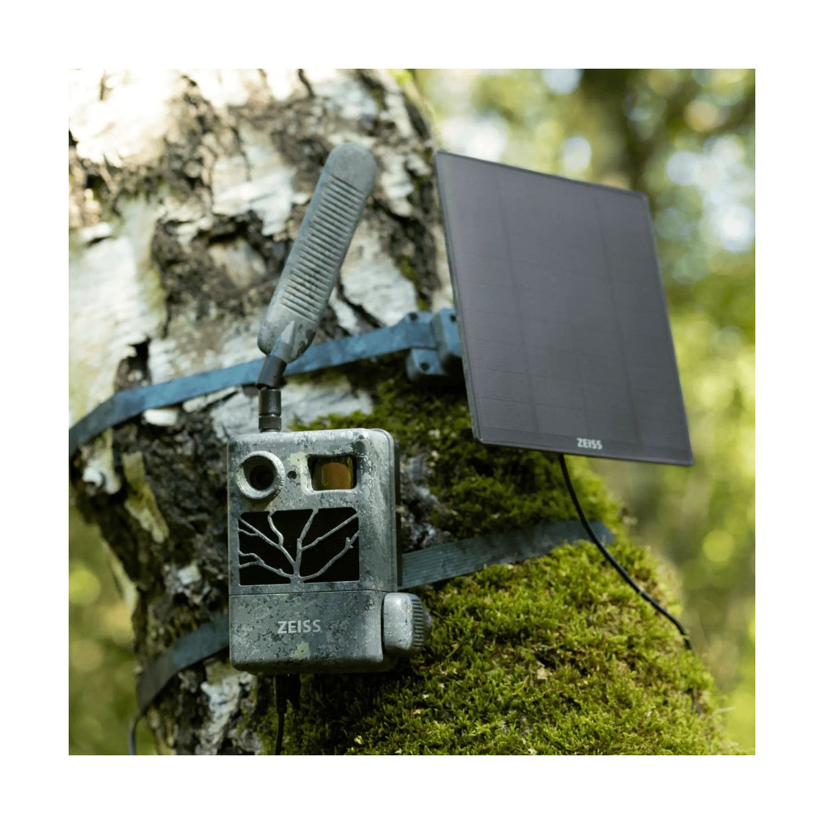 Armadilha fotográfica ZEISS Secacam 3 pack painel solar 