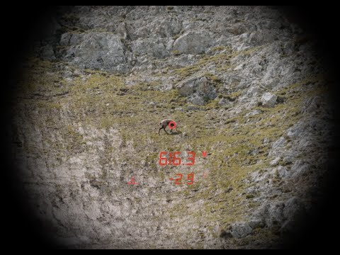 Steiner Ranger LRF 10X42 binoculars