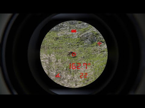 Steiner eRanger LRF 10x42 binoculars with integrated rangefinder 