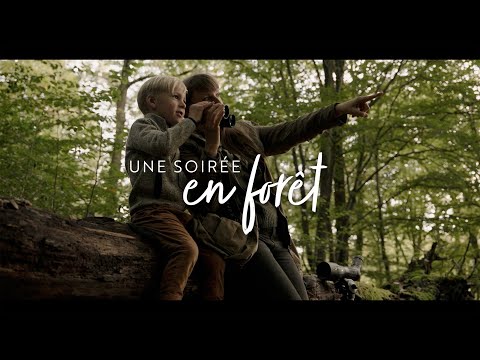 Lunetas terrestres Kite Optics KSP 80 HD 25-50X80 