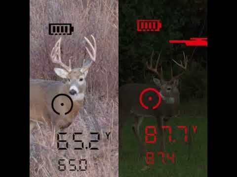 Bushnell FUSION X 10x42 rangefinder binoculars 