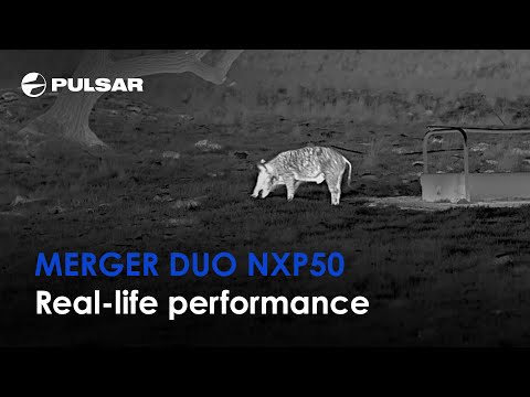 Pulsar Merger DUO NXP50 multi-channel thermal and night vision binoculars 