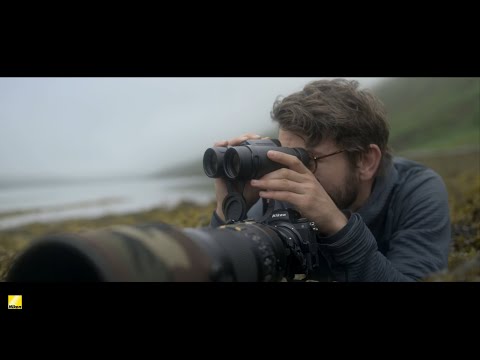 Nikon Monarch M5 8X42 Binoculars 