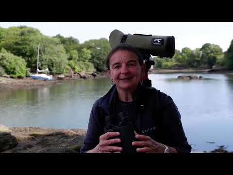 Jumelles Kite APC 16×42 stabilisées