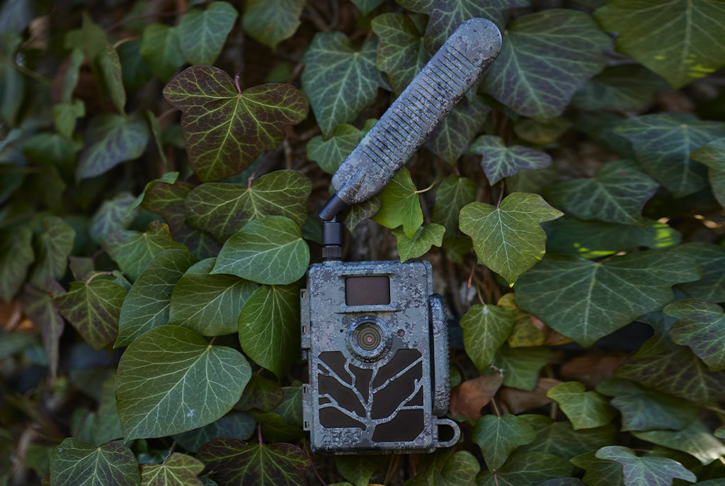 ZEISS Secacam 5 Connected Trail Camera 