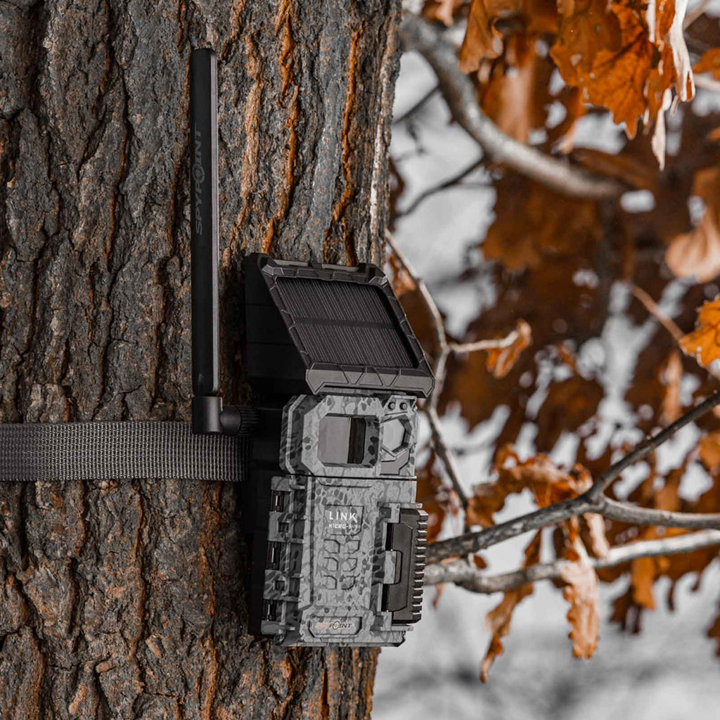 Piège photographique Spypoint FLEX Solaire communiquant photo/vidéo