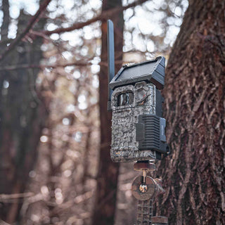 Piège photographique Spypoint FLEX Solaire communiquant photo/vidéo