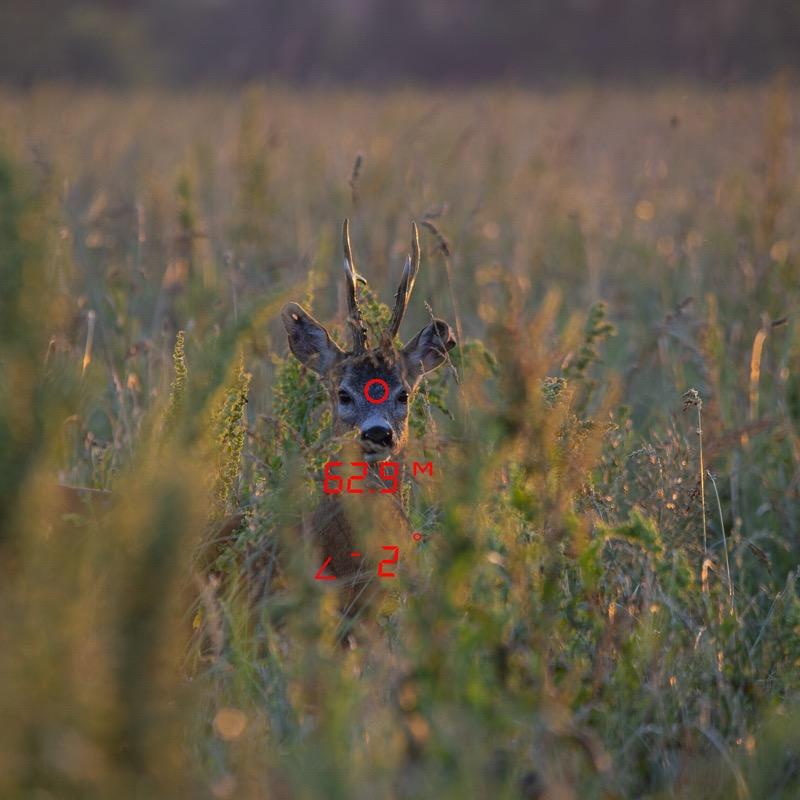 GPO binoculars with Rangeguide 2800 8x32 rangefinder 