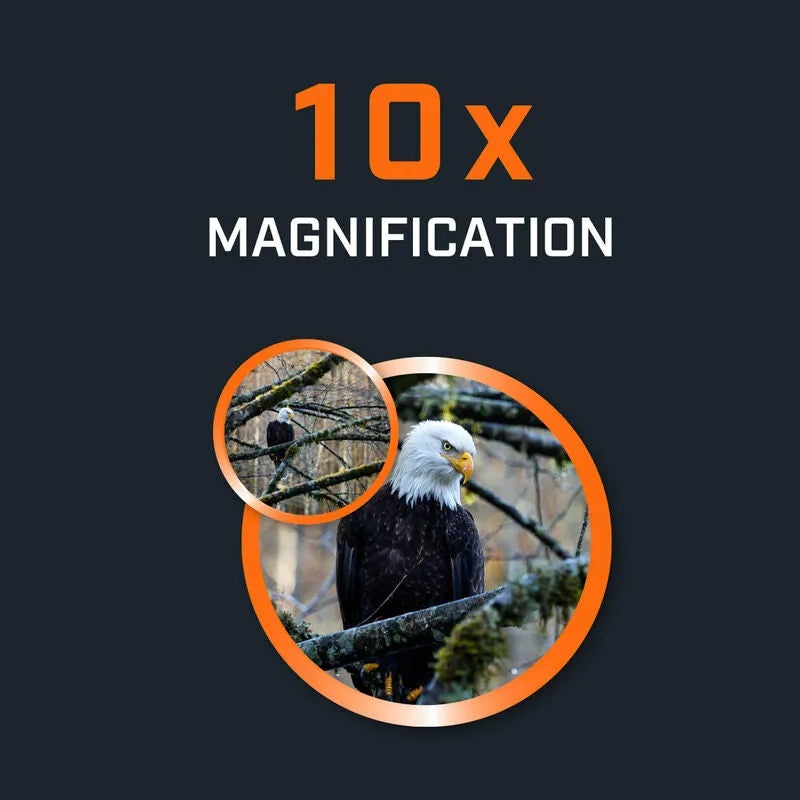 Bushnell H2O 2.0 10x25 Binoculars 